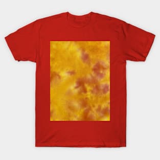 Summr Tie Dye Flame Desert T-Shirt